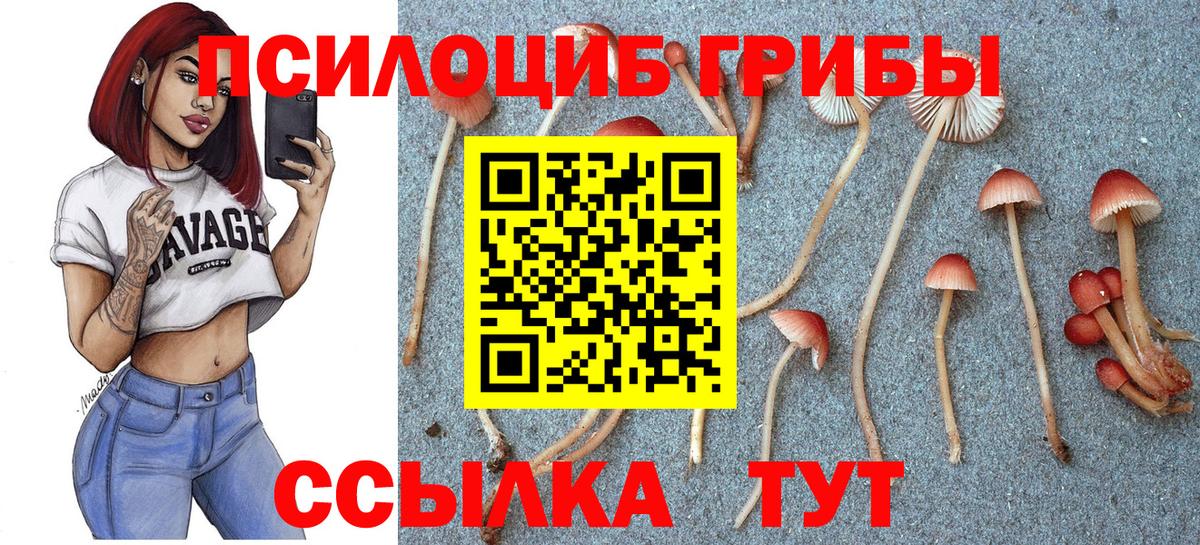 Прокопьевск  Псилоцибиновые грибы Magic Shrooms  Вход с VPN 